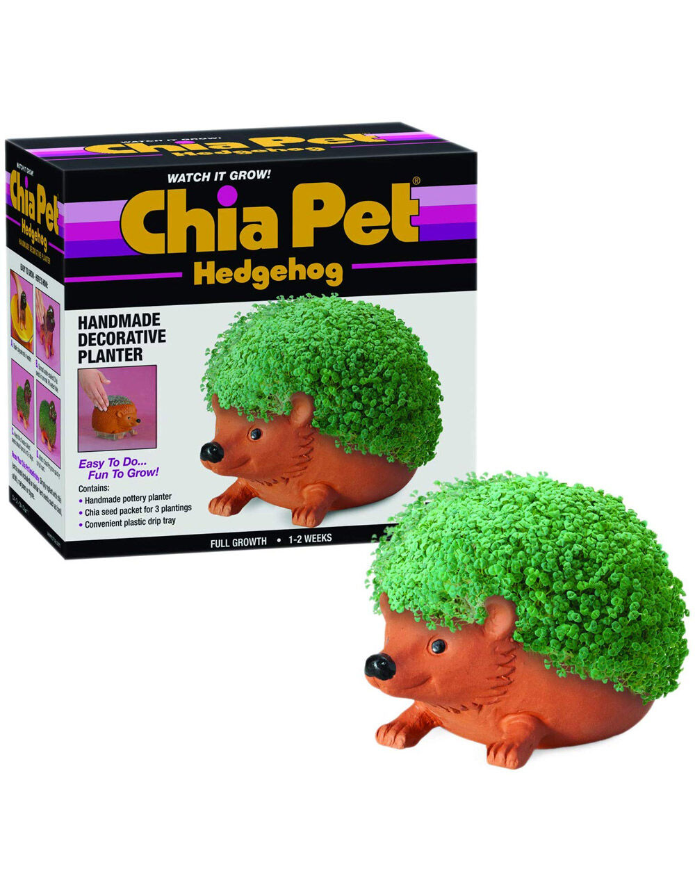 Hedgehog Chia Pet